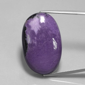 9,17 ctw natürlicher Violet Charoit, Oval, Lichtundurchlässig