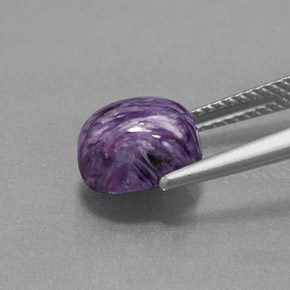 2,82 ctw natürlicher violetter Charoit, Oval Schliff, Lichtundurchlässig
