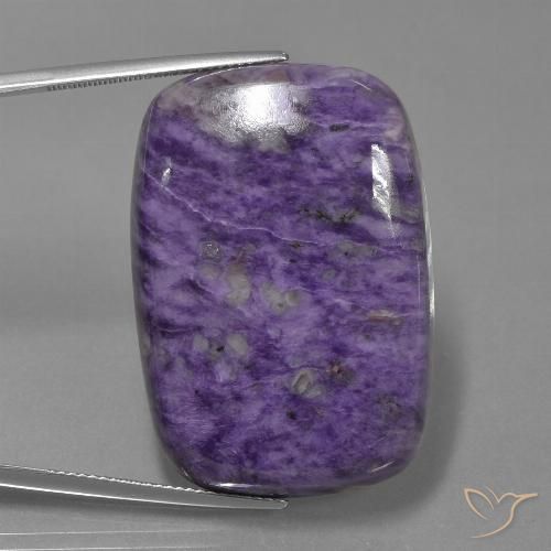 63.74ct Natürlicher tiefviolett Charoit, Kissen, Lichtundurchlässig
