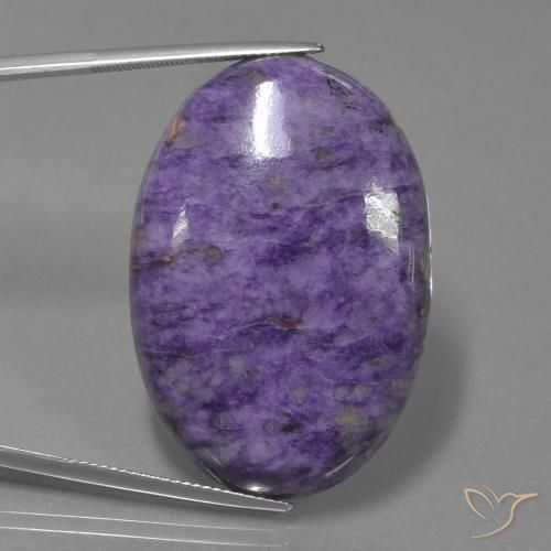 62.41ct Natürlicher Samt Lila Violett Charoit, Oval, Lichtundurchlässig