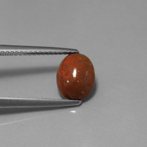 1,04 ctw natürlicher mehrfarbiger Schokoladenopal, Oval Schliff, Lichtundurchlässig