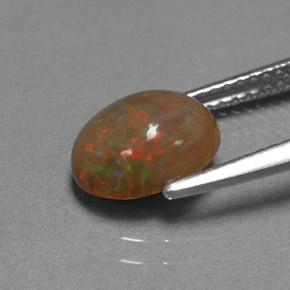 1,42 ctw natürlicher mehrfarbiger Schokoladenopal, Oval Schliff, Lichtundurchlässig