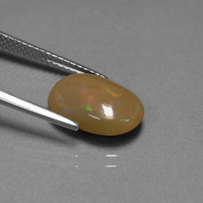 2,59 ctw natürlicher mehrfarbiger Schokoladenopal, Oval Schliff, Lichtundurchlässig