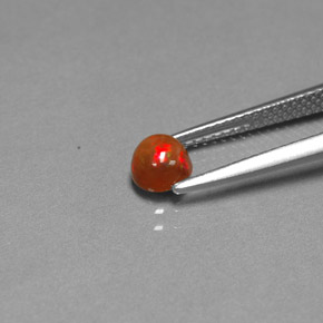 0,45 ctw natürlicher mehrfarbiger Schokoladenopal, Transparent, Transparent / Lichtdurchlässig