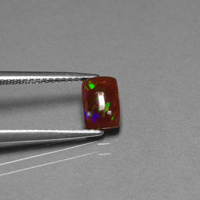 0,64 ctw natürlicher mehrfarbiger Schokoladenopal, Transparent, Transparent / Lichtdurchlässig