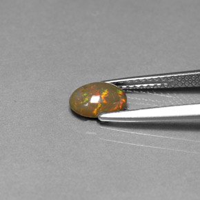 0,46 ctw natürlicher mehrfarbiger Schokoladenopal, Oval Schliff, Lichtundurchlässig