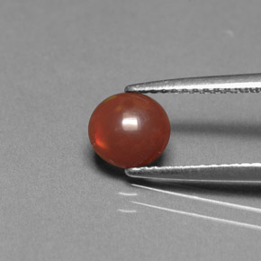0,36 ctw natürlicher mehrfarbiger Schokoladenopal, Oval Schliff, Lichtundurchlässig
