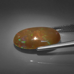 5,32 ctw natürlicher mehrfarbiger Schokoladenopal, Oval Schliff, Lichtundurchlässig