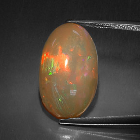 10,52 ctw natürlicher mehrfarbiger Schokoladenopal, Oval Schliff, Lichtundurchlässig