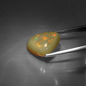 5,44 ctw natürlicher mehrfarbiger Schokoladenopal, Trillion, Lichtundurchlässig