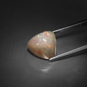 6,51 ctw natürlicher mehrfarbiger Schokoladenopal, Trillion, Lichtundurchlässig