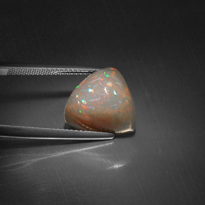 6,51 ctw natürlicher mehrfarbiger Schokoladenopal, Trillion, Lichtundurchlässig
