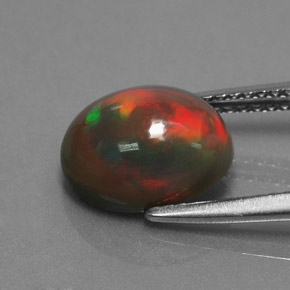 1,87 ctw natürlicher mehrfarbiger Schokoladenopal, Oval Schliff, Lichtundurchlässig