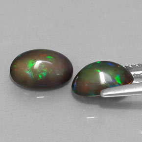  ct natürliche mehrfarbiger Schokoladenopal-Edelsteine, Oval Schliff, Lichtdurchlässig