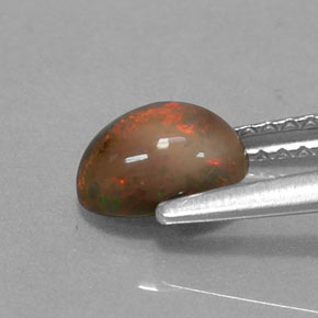 0,69 ctw natürlicher mehrfarbiger Schokoladenopal, Oval Schliff, Lichtdurchlässig