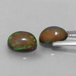  ct natürliche mehrfarbiger Schokoladenopal-Edelsteine, Oval Schliff, Lichtdurchlässig