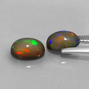  ct natürliche mehrfarbiger Schokoladenopal-Edelsteine, Oval Schliff, Lichtdurchlässig