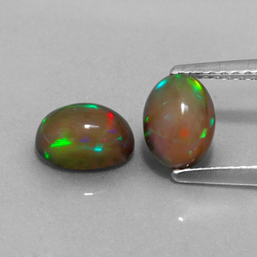  ct natürliche mehrfarbiger Schokoladenopal-Edelsteine, Oval Schliff, Lichtdurchlässig