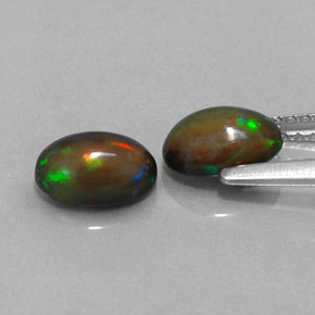  ct natürliche mehrfarbiger Schokoladenopal-Edelsteine, Oval Schliff, Lichtdurchlässig