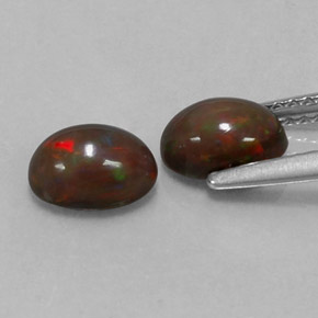  ct natürliche mehrfarbiger Schokoladenopal-Edelsteine, Oval Schliff, Lichtdurchlässig