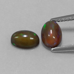  ct natürliche mehrfarbiger Schokoladenopal-Edelsteine, Oval Schliff, Lichtdurchlässig