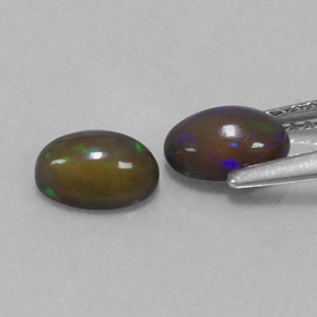  ct natürliche mehrfarbiger Schokoladenopal-Edelsteine, Oval Schliff, Lichtdurchlässig