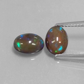  ct natürliche mehrfarbiger Schokoladenopal-Edelsteine, Oval Schliff, Lichtdurchlässig
