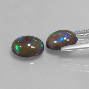  ct natürliche mehrfarbiger Schokoladenopal-Edelsteine, Oval Schliff, Lichtdurchlässig