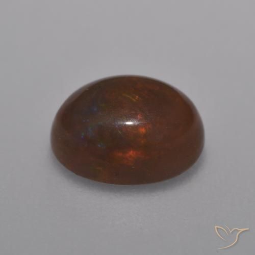 9,17 ctw natürlicher Mehrfarbig Schokoladenopal, Oval, Lichtdurchlässig