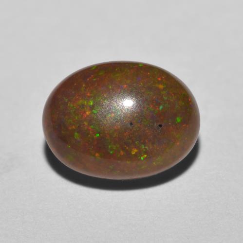 0,85 ctw natürlicher mehrfarbiger Schokoladenopal, Oval Schliff, Lichtdurchlässig