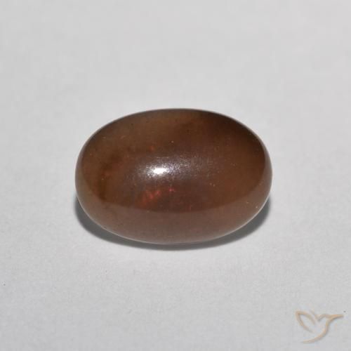 9,17 ctw natürlicher Mehrfarbig Schokoladenopal, Oval, Lichtdurchlässig