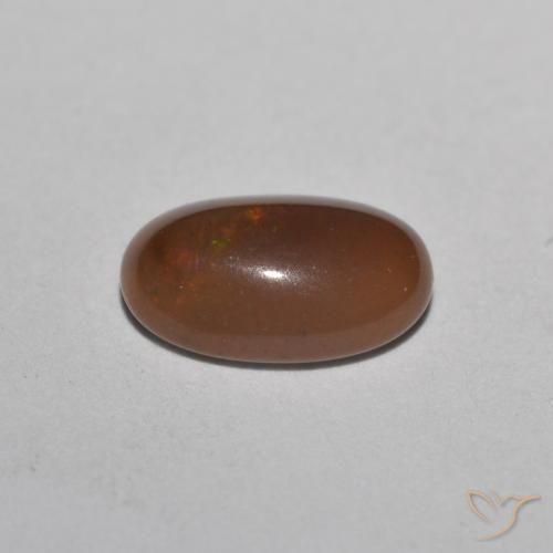 9,17 ctw natürlicher Mehrfarbig Schokoladenopal, Oval, Lichtdurchlässig
