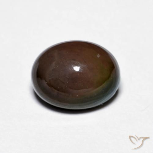 1.28ct Natürlicher Schokoladenbraun Schokoladenopal, Oval, Lichtundurchlässig