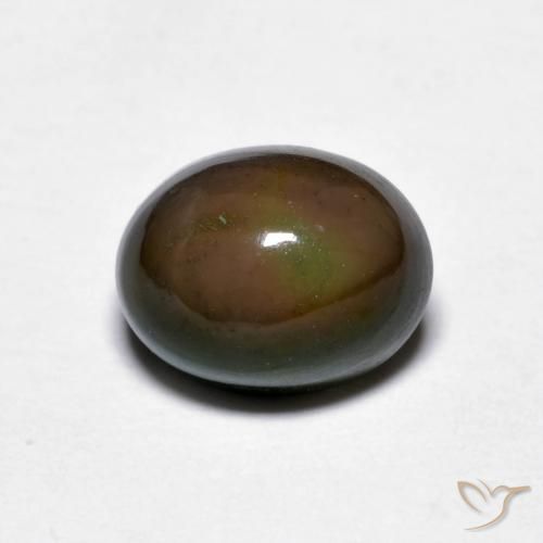 1.56ct Natürlicher dunkelbraun Schokoladenopal, Oval, Lichtundurchlässig