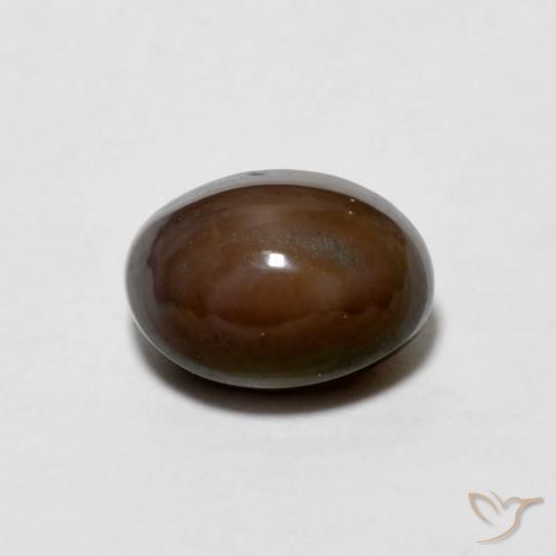 0.67ct Natürlicher dunkelbraun Schokoladenopal, Oval, Lichtundurchlässig