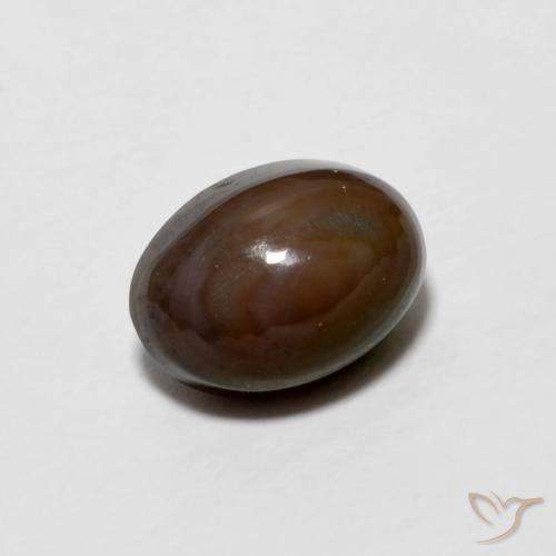 9,17 ctw natürlicher dunkelbraun Schokoladenopal, Oval, Lichtundurchlässig
