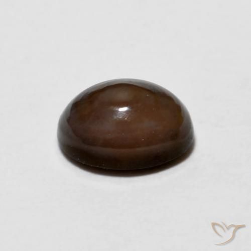 9,17 ctw natürlicher dunkelbraun Schokoladenopal, Oval, Lichtundurchlässig