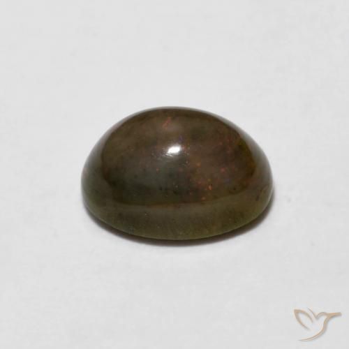 9,17 ctw natürlicher gold-braun Schokoladenopal, Oval, Lichtundurchlässig