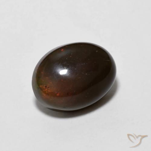 9,17 ctw natürlicher Hickory Braun Schokoladenopal, Oval, Lichtundurchlässig
