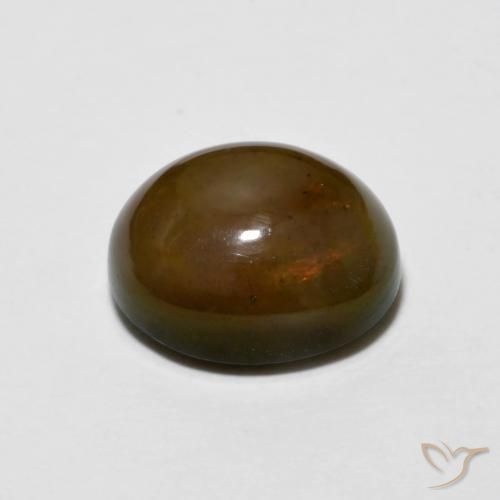 9,17 ctw natürlicher Medium Dark-Brown Schokoladenopal, Oval, Lichtundurchlässig