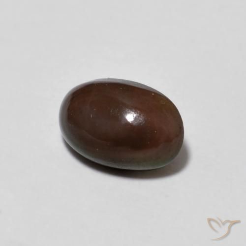 9,17 ctw natürlicher Mehrfarbig Schokoladenopal, Oval, Lichtdurchlässig