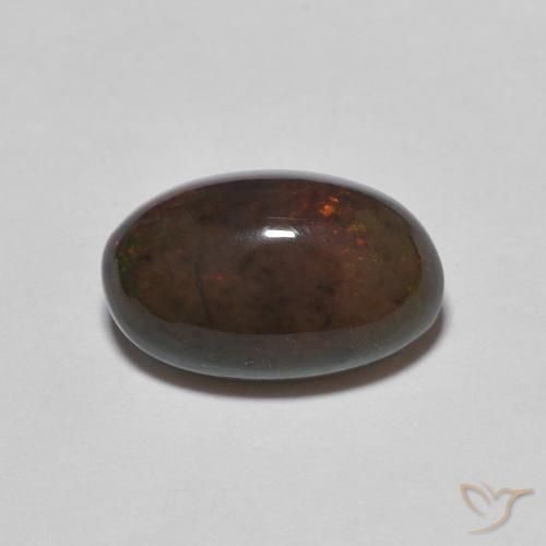 1.24ct Natürlicher dunkelbraun Schokoladenopal, Oval, Lichtundurchlässig