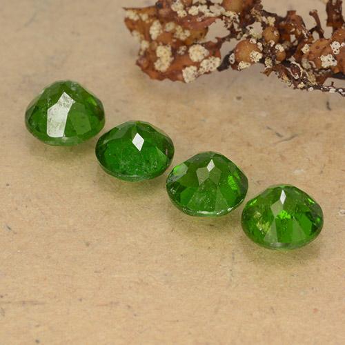 2,53 ct natürliche grüner Chromdiopsid-Edelsteine, Rundschliff, VS