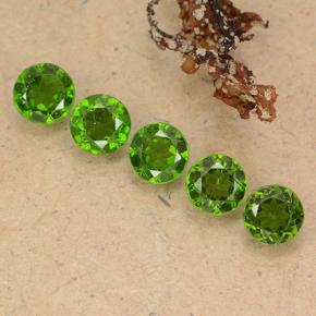 2,61 ct natürliche grüner Chromdiopsid-Edelsteine, Rundschliff, VS