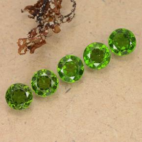 2,61 ct natürliche grüner Chromdiopsid-Edelsteine, Rundschliff, VS