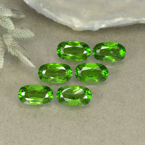 1,42 ct natürliche grüner Chromdiopsid-Edelsteine, Oval Schliff, VS-SI