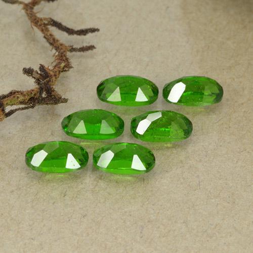 1,67 ct natürliche grüner Chromdiopsid-Edelsteine, Oval Schliff, VS-SI
