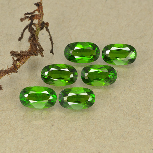 1,50 ct natürliche grüner Chromdiopsid-Edelsteine, Oval Schliff, VS-SI