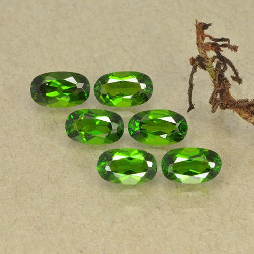 1,62 ct natürliche grüner Chromdiopsid-Edelsteine, Oval Schliff, VS-SI