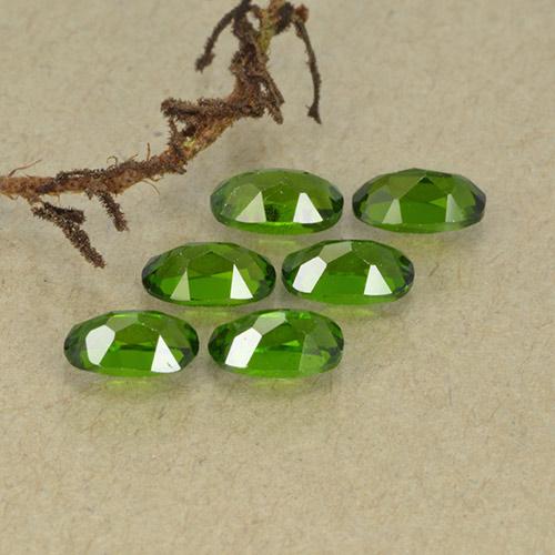 1,62 ct natürliche grüner Chromdiopsid-Edelsteine, Oval Schliff, VS-SI